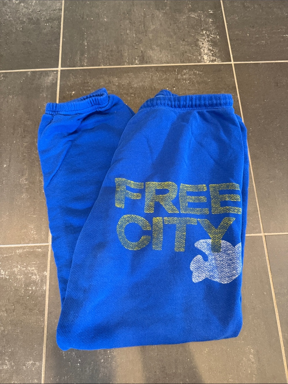 Free City Blue Sweatpants size M